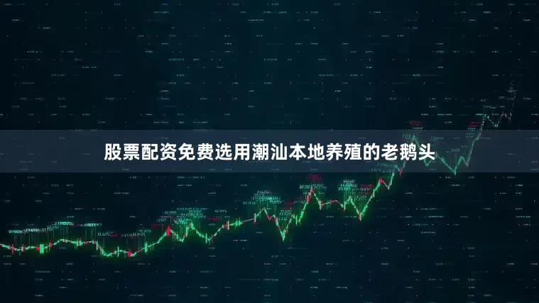 股票配资免费选用潮汕本地养殖的老鹅头